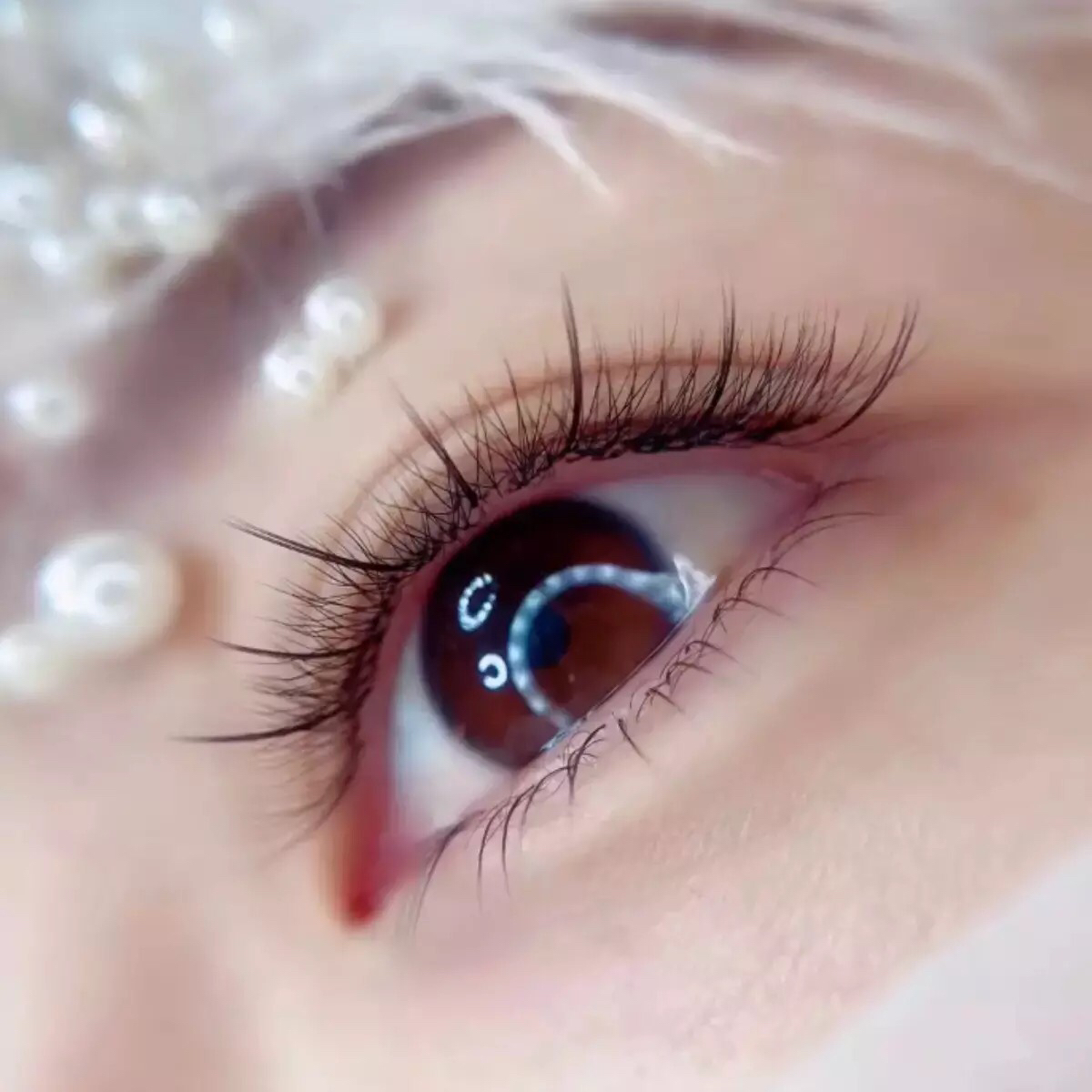 美睫 - 2020流行仙女睫自然款